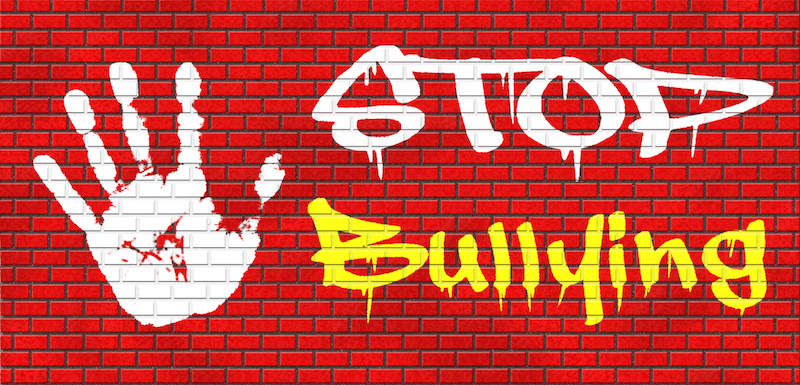 The Bullying Has To Stop
